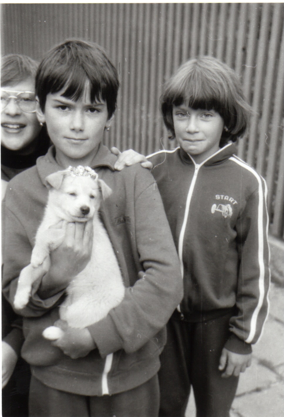 Daneček jako mimi 2.jpg