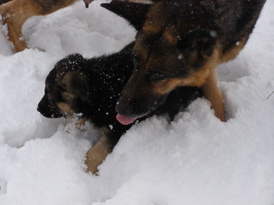 3. Brixík s maminkou Dinou.jpg