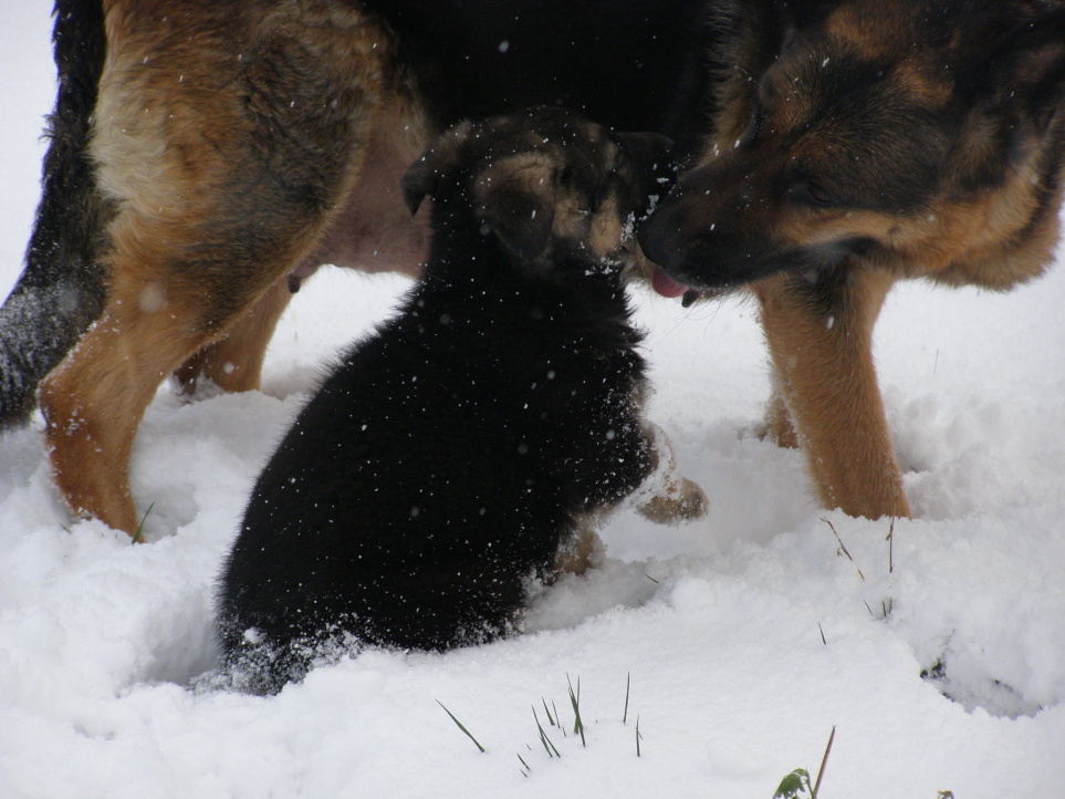 4. Brixík s maminkou Dinou 2.jpg
